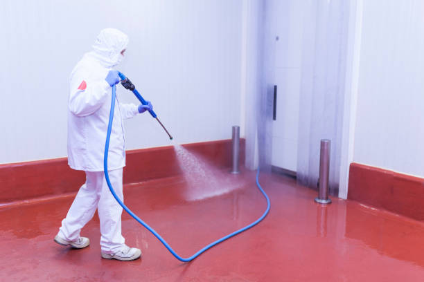 Best Paint Preparation  in Mill City, OR