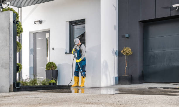 Best Soft Washing  in Mill City, OR